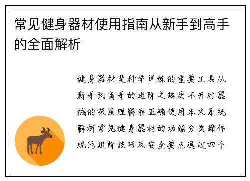 常见健身器材使用指南从新手到高手的全面解析