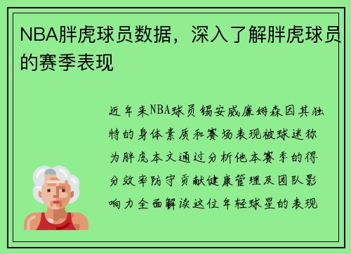 NBA胖虎球员数据，深入了解胖虎球员的赛季表现