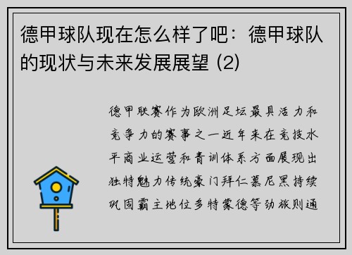 德甲球队现在怎么样了吧：德甲球队的现状与未来发展展望 (2)