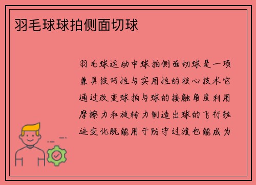 羽毛球球拍侧面切球