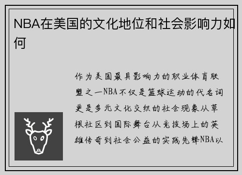 NBA在美国的文化地位和社会影响力如何